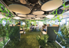 Interior Décor Trends for 2020: Biophilia and using “just what you need”