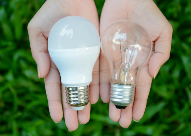 Which Is Better LED Or Halogen Or Incandescent For Your Landscape